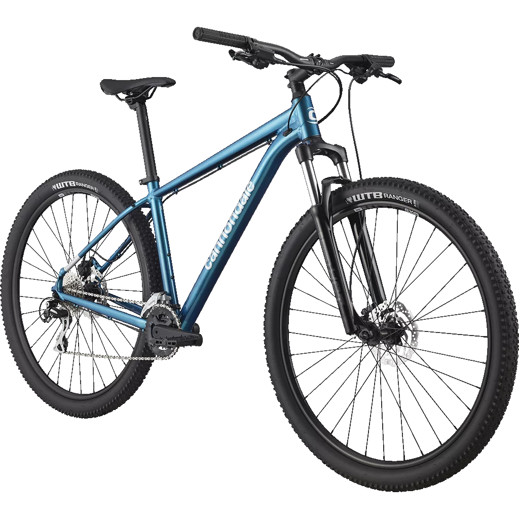 Cannondale Trail 6 29 D